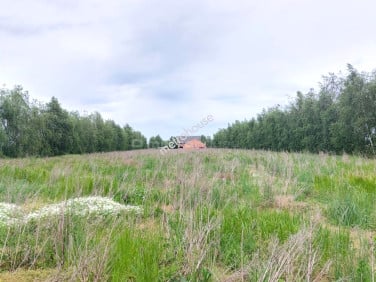 Działka budowlana Radzewo