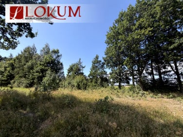 Działka Łapino Kartuskie