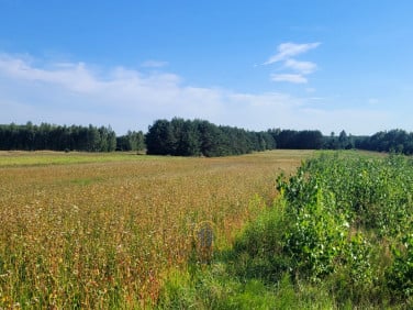 Działka budowlana Pałecznica
