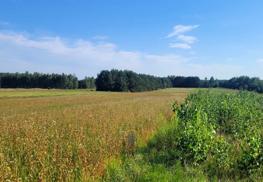 Działka budowlana Pałecznica