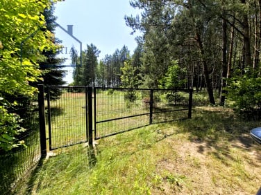 Działka Skarlin