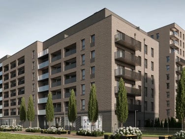 Mieszkanie Łódź sprzedaż