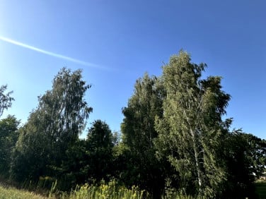Działka budowlana Płouszowice