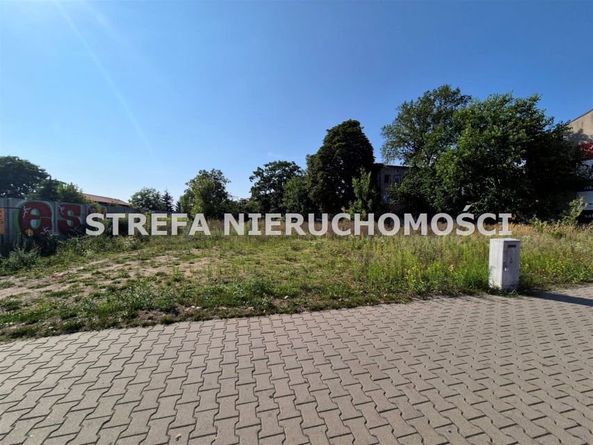 Zdjęcie 3