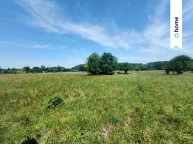Działka budowlana Nowe Żabno