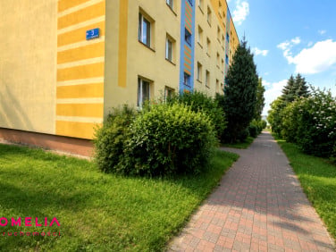 Mieszkanie Kielce