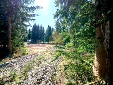 Działka budowlana Zawonia