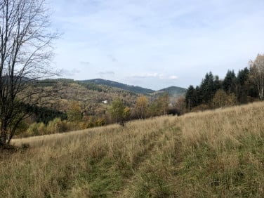 Działka inna Zawoja