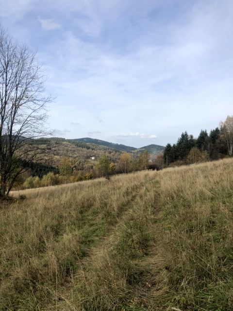 Działka inna Zawoja