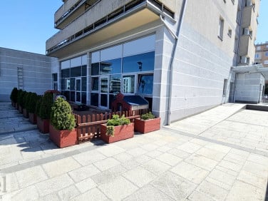 Lokal Kraków wynajem