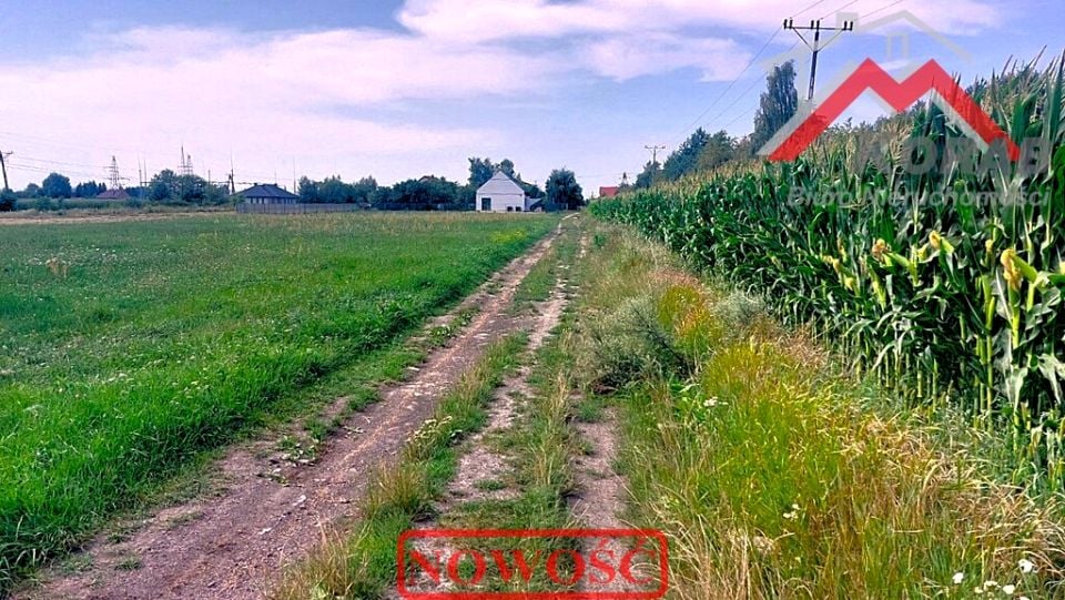 Zdjęcie 2