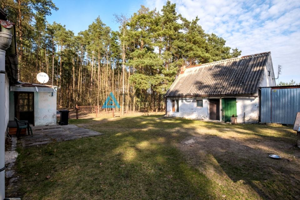 Zdjęcie 3