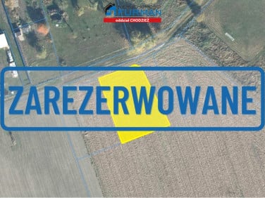 Działka Boruchowo