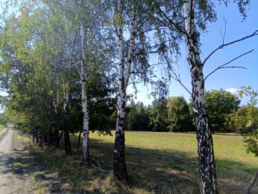 Działka budowlana Celinów