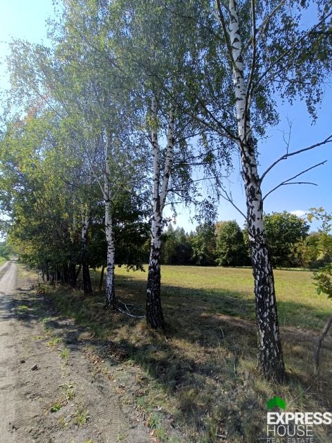 Działka budowlana Celinów
