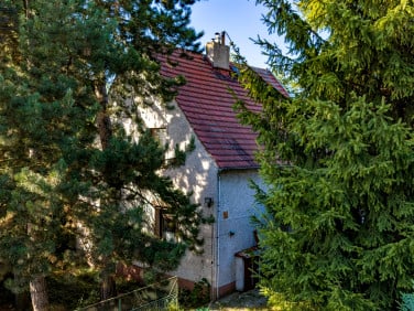 Dom Gliwice