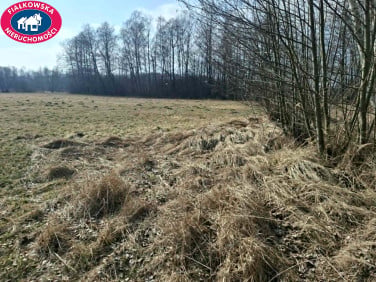 Działka rolna Puszcza Mariańska