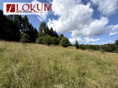 Działka budowlana Nowy Wiec