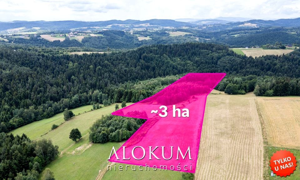 Działka Polichty