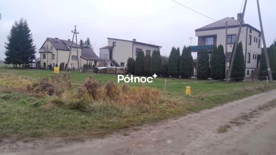 Zdjęcie 3