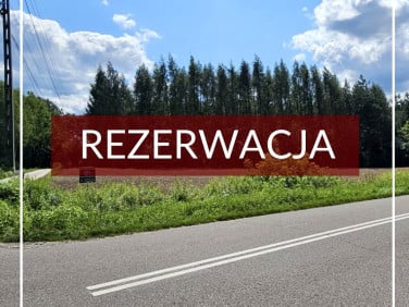Działka Kupienin