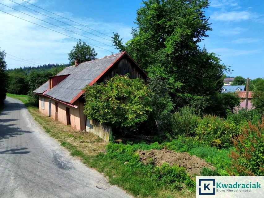 Zdjęcie 2