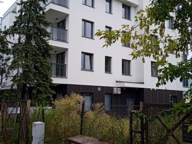Lokal Radom
