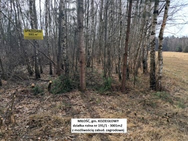 Działka budowlano-rolna Miłość