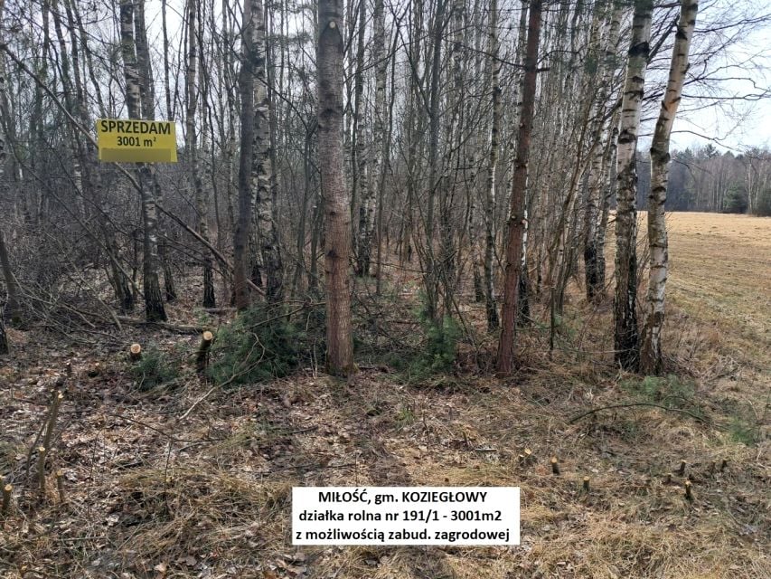 Działka budowlano-rolna Miłość