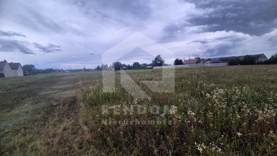 Zdjęcie 2