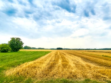 Działka rolna Złoczew