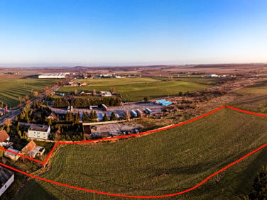 Działka inwestycyjna Pniewy