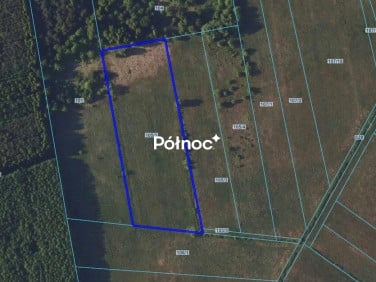 Działka rolna Koźliki