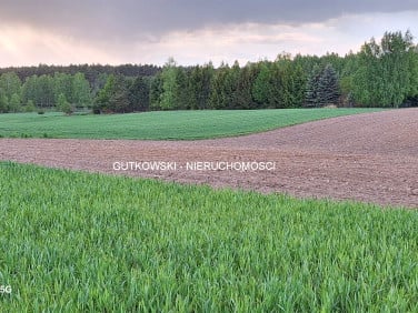 Działka rekreacyjna Otręba