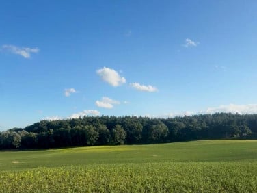 Działka budowlana Buk
