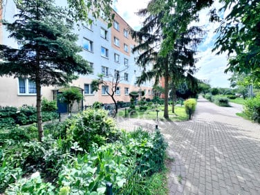 Mieszkanie Toruń