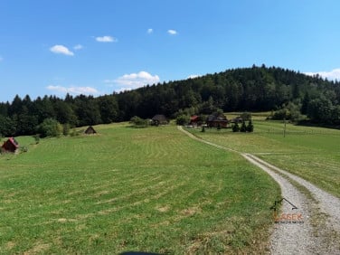 Działka Tarnawa Dolna