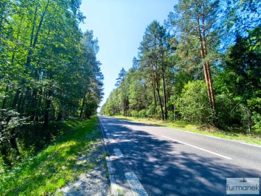 Działka leśna Nadrzecze