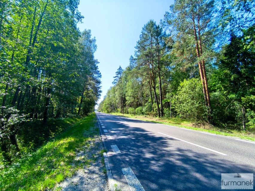 Działka leśna Nadrzecze