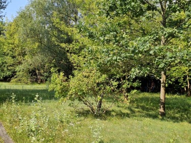 Działka budowlana Warszawa