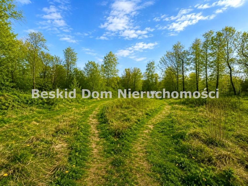 Zdjęcie 2
