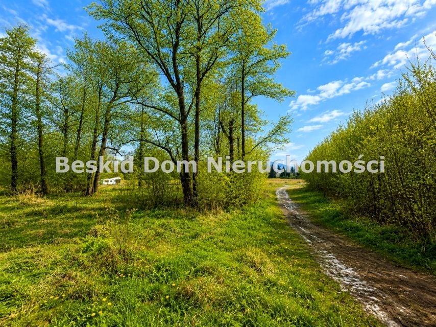 Zdjęcie 3