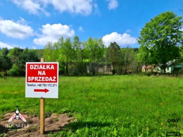 Działka przy lesie