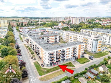Lokal Głogów
