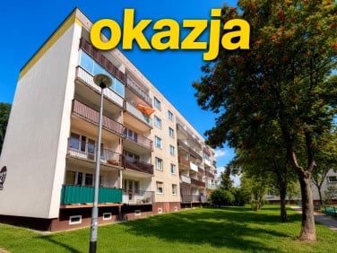 Mieszkanie Łódź