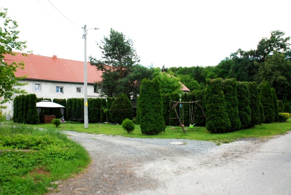 Zdjęcie 2