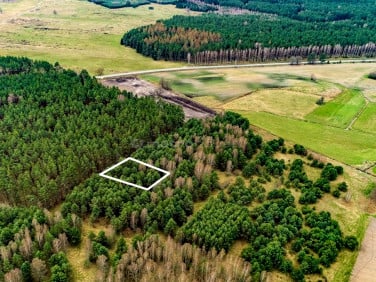 Działka rolna Zgniłocha