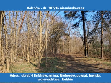 Działka inna sprzedam