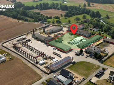 Lokal Steblów