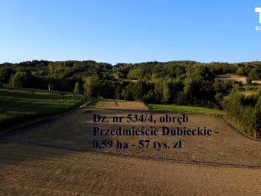 Działka rolna Przedmieście Dubieckie